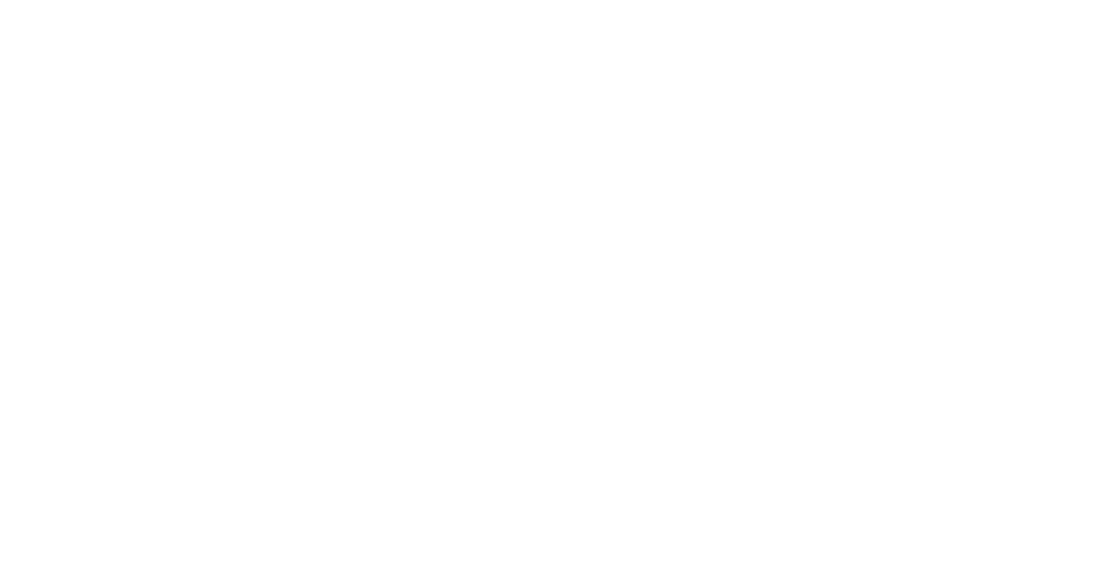 CEO Evolución