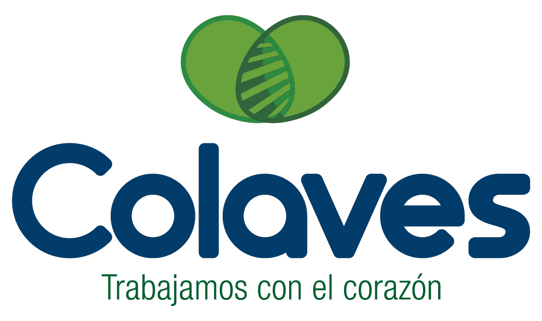 Colaves